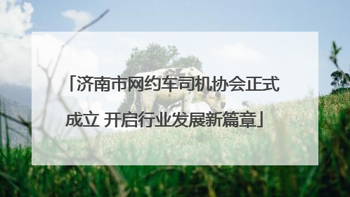 济南市网约车司机协会正式成立 开启行业发展新篇章