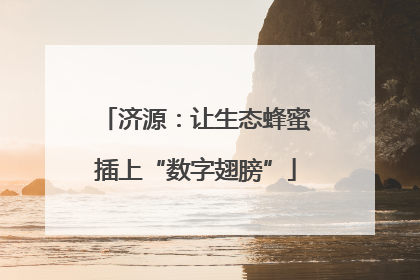 济源：让生态蜂蜜插上“数字翅膀”