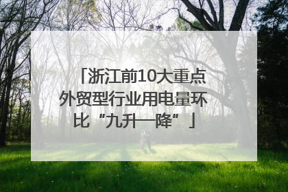 浙江前10大重点外贸型行业用电量环比“九升一降”