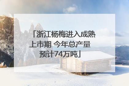 浙江杨梅进入成熟上市期 今年总产量预计74万吨
