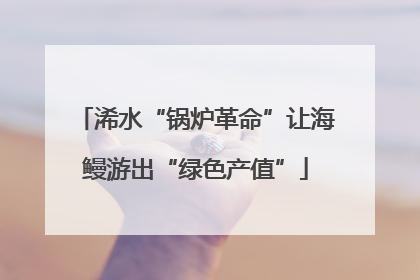 浠水“锅炉革命”让海鳗游出“绿色产值”