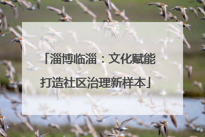 淄博临淄：文化赋能 打造社区治理新样本