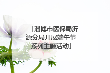 淄博市医保局沂源分局开展端午节系列主题活动