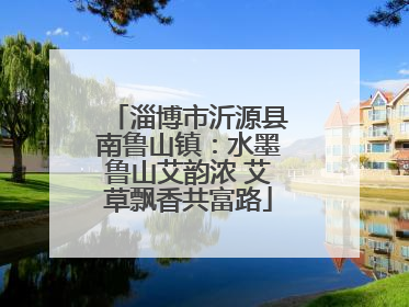淄博市沂源县南鲁山镇：水墨鲁山艾韵浓 艾草飘香共富路