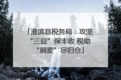 淮滨县税务局：攻坚“三夏”保丰收 税助“弱麦”尽归仓