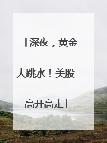 深夜，黄金大跳水！美股高开高走