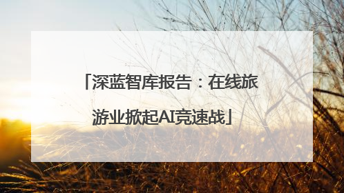 深蓝智库报告：在线旅游业掀起AI竞速战