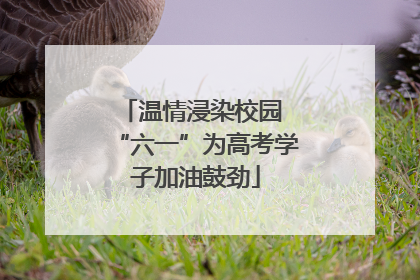 温情浸染校园 “六一”为高考学子加油鼓劲