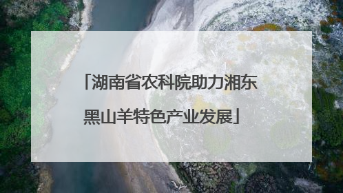湖南省农科院助力湘东黑山羊特色产业发展