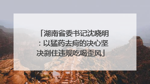 湖南省委书记沈晓明：以猛药去疴的决心坚决刹住违规吃喝歪风