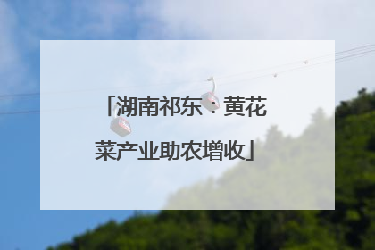湖南祁东：黄花菜产业助农增收