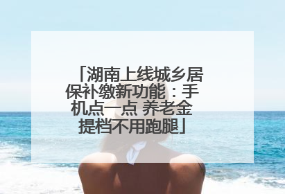 湖南上线城乡居保补缴新功能：手机点一点 养老金提档不用跑腿