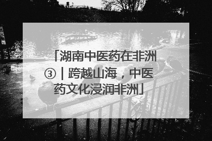 湖南中医药在非洲③｜跨越山海，中医药文化浸润非洲