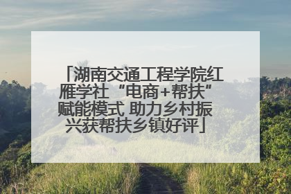 湖南交通工程学院红雁学社“电商+帮扶”赋能模式 助力乡村振兴获帮扶乡镇好评