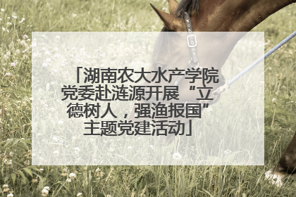 湖南农大水产学院党委赴涟源开展“立德树人，强渔报国”主题党建活动