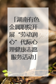 湖南有色金属职院开展“劳动润心”代际心理健康志愿服务活动