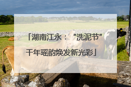 湖南江永：“洗泥节”千年瑶韵焕发新光彩