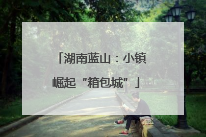 湖南蓝山：小镇崛起“箱包城”