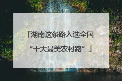 湖南这条路入选全国“十大最美农村路”