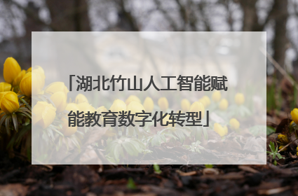 湖北竹山人工智能赋能教育数字化转型