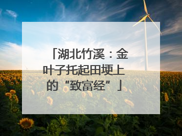 湖北竹溪：金叶子托起田埂上的“致富经”