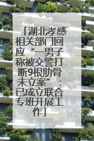 湖北孝感相关部门回应“一男子称被交警打断9根肋骨未立案”：已成立联合专班开展工作