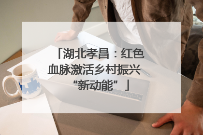 湖北孝昌：红色血脉激活乡村振兴“新动能”
