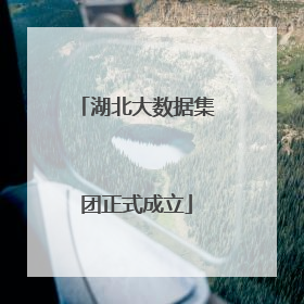 湖北大数据集团正式成立
