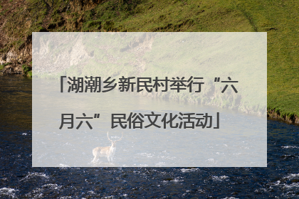湖潮乡新民村举行“六月六”民俗文化活动