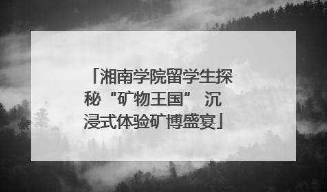 湘南学院留学生探秘“矿物王国” 沉浸式体验矿博盛宴
