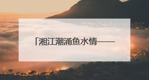 湘江潮涌鱼水情——长沙8次荣获“全国双拥模范城”称号