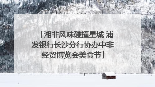 湘非风味碰撞星城 浦发银行长沙分行协办中非经贸博览会美食节