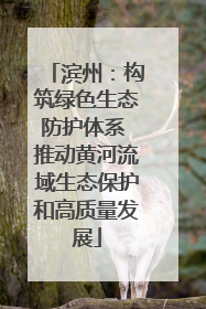 滨州：构筑绿色生态防护体系 推动黄河流域生态保护和高质量发展