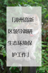 漳州高新区领导调研生态环境保护工作