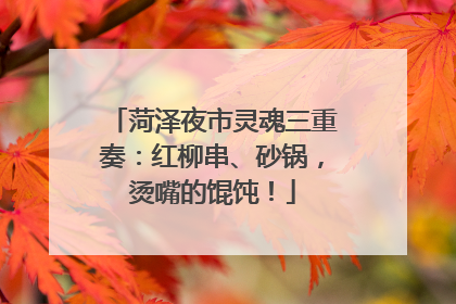 菏泽夜市灵魂三重奏：红柳串、砂锅，烫嘴的馄饨！