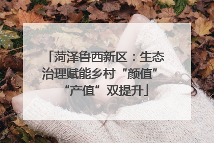 菏泽鲁西新区：生态治理赋能乡村“颜值”“产值”双提升