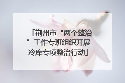荆州市“两个整治”工作专班组织开展冷库专项整治行动