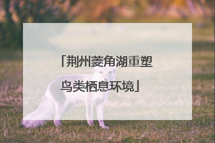 荆州菱角湖重塑鸟类栖息环境