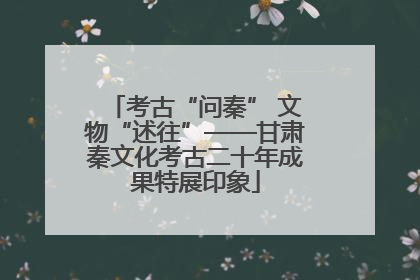 考古“问秦” 文物“述往”——甘肃秦文化考古二十年成果特展印象
