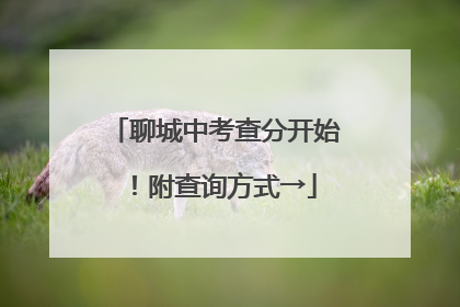 聊城中考查分开始！附查询方式→
