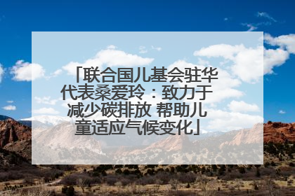 联合国儿基会驻华代表桑爱玲：致力于减少碳排放 帮助儿童适应气候变化