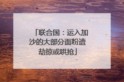 联合国：运入加沙的大部分面粉遭劫掠或哄抢