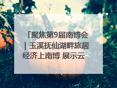 聚焦第9届南博会｜玉溪抚仙湖畔旅居经济上南博 展示云南生活新样本