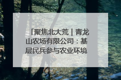 聚焦北大荒｜青龙山农场有限公司：基层民兵参与农业环境综合治理显效