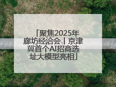 聚焦2025年廊坊经洽会丨京津冀首个AI招商选址大模型亮相