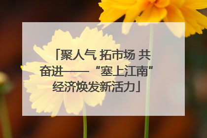 聚人气 拓市场 共奋进——“塞上江南”经济焕发新活力