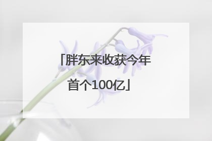 胖东来收获今年首个100亿