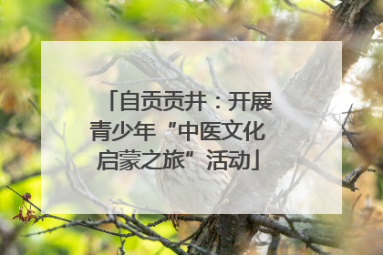 自贡贡井：开展青少年“中医文化启蒙之旅”活动