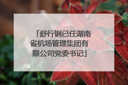 舒行钢已任湖南省机场管理集团有限公司党委书记