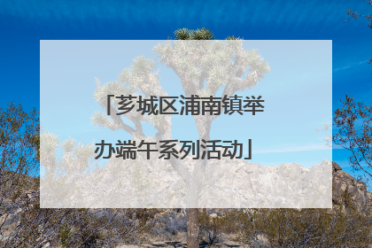 芗城区浦南镇举办端午系列活动